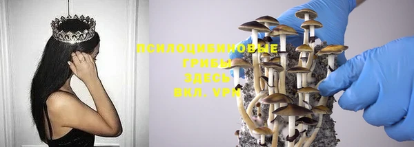 тгк Верхний Тагил
