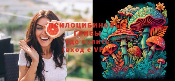 ГАЛЛЮЦИНОГЕННЫЕ ГРИБЫ Верхнеуральск