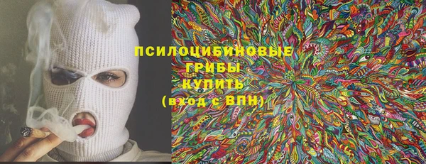 ГАЛЛЮЦИНОГЕННЫЕ ГРИБЫ Верхнеуральск